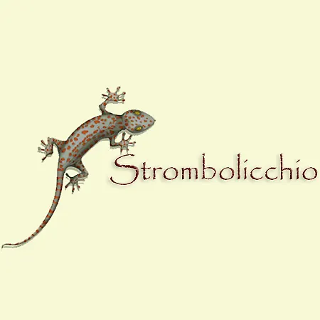Strombolicchio 斯特龙博利
